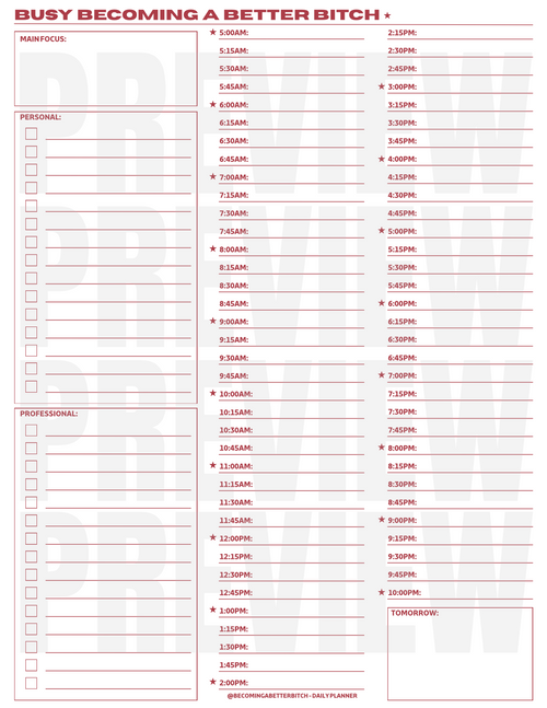 The Daily Planner | Printable + Digital PDF